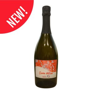 Spumante Brut Cuore diVino - Novità 2025